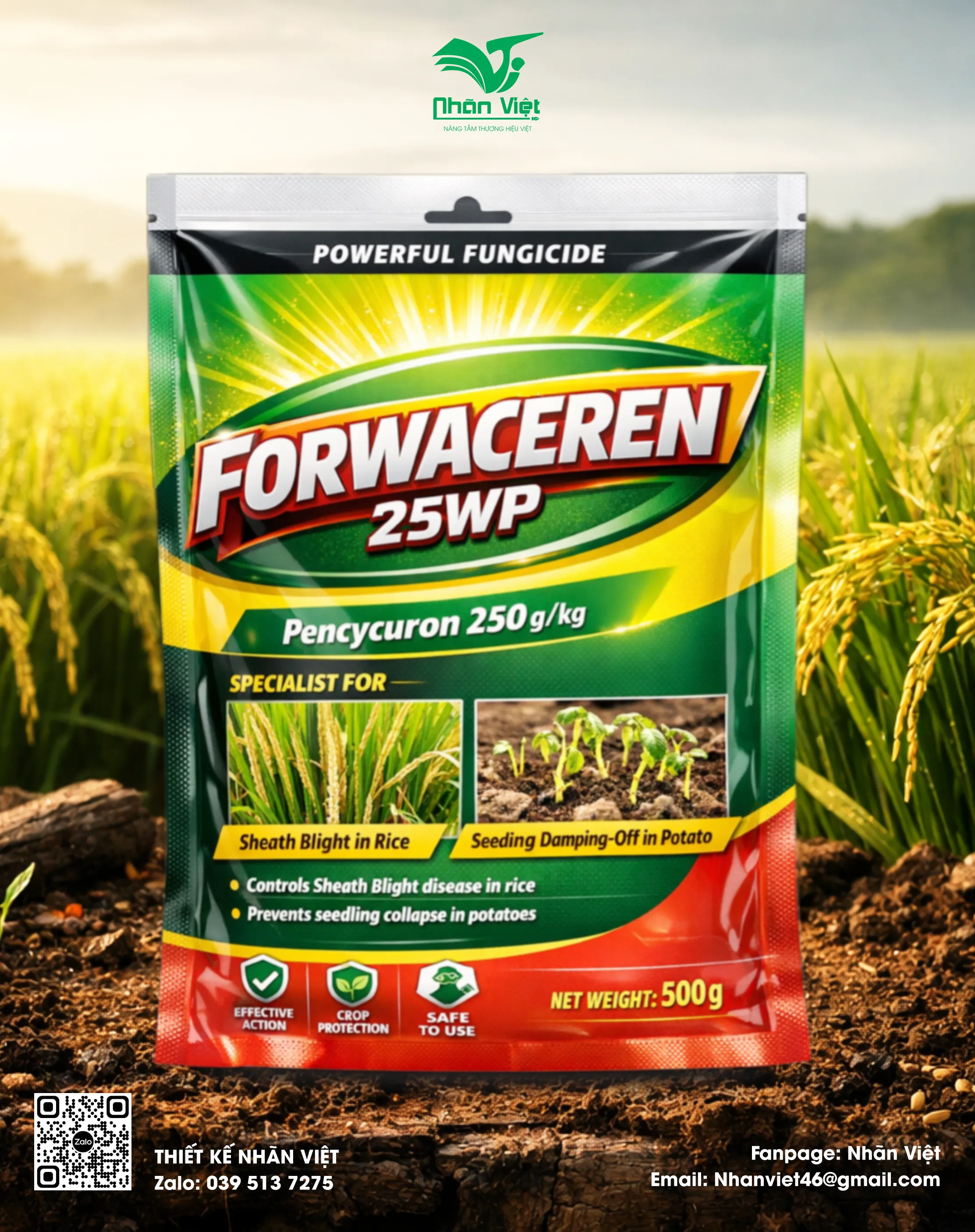 Nhãn mác & Bao bì